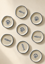 shell and sardine coasters