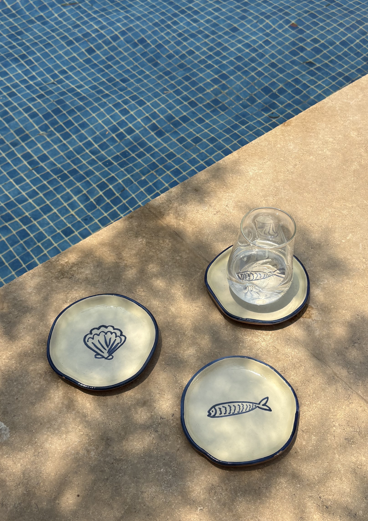 shell and sardine coasters