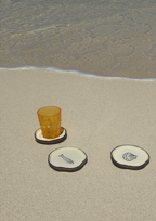 shell and sardine coasters