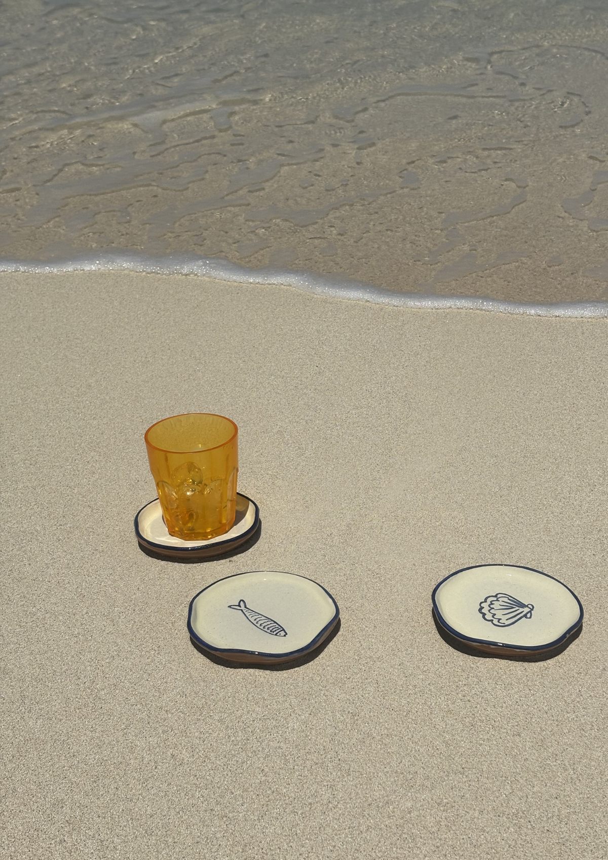 shell and sardine coasters